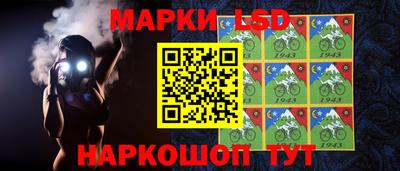 стафф Краснокаменск