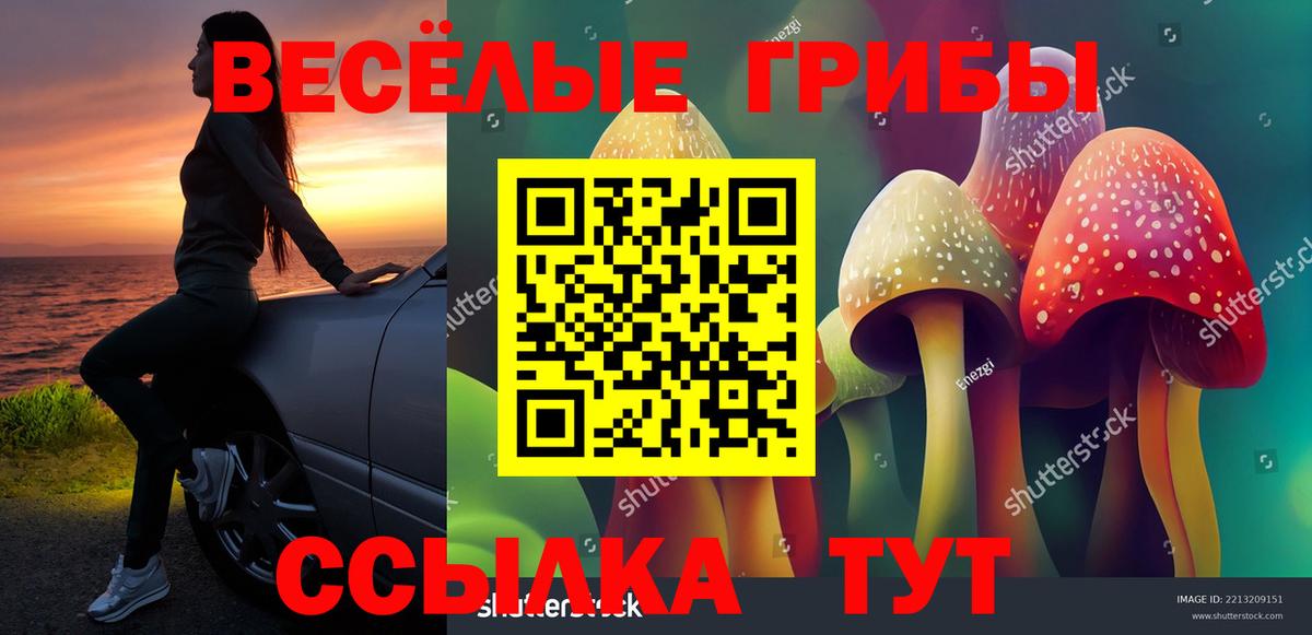 Галлюциногенные грибы GOLDEN TEACHER Кохма