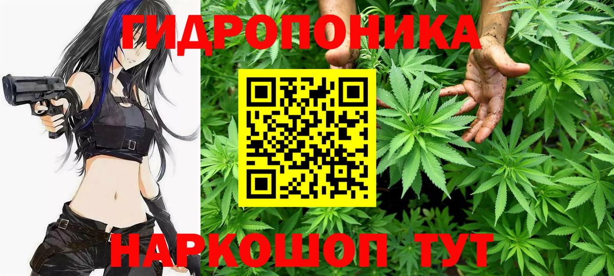 Кохма  Бошки Шишки план  Вход с VPN  Конопля Ganja  Бошки Шишки тримм 